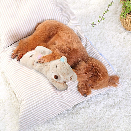 Snuggle Heartbeat Bear with Warmth Pack: Providing The Ultimate Transition for Puppies from the breeder to their Fur-Ever Home- Single
