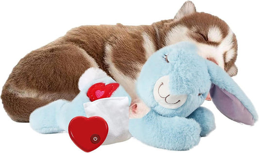 Perfect for Puppy Packs: Heartbeat Toy with Warmer and Pacifier- Single