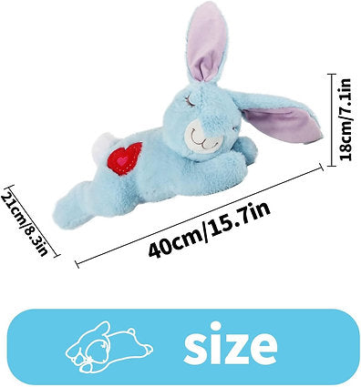 Perfect for Puppy Packs: Heartbeat Toy with Warmer and Pacifier- Single