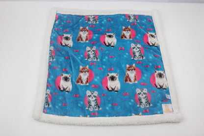 PS Puppy Blankets