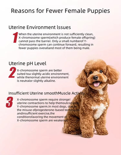 Cycle Balance & Breeding Support for Dogs – Estrus pH & Reproductive Support System (Gel + Powder Kit)